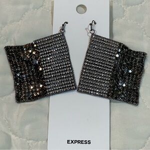 Express Earrings